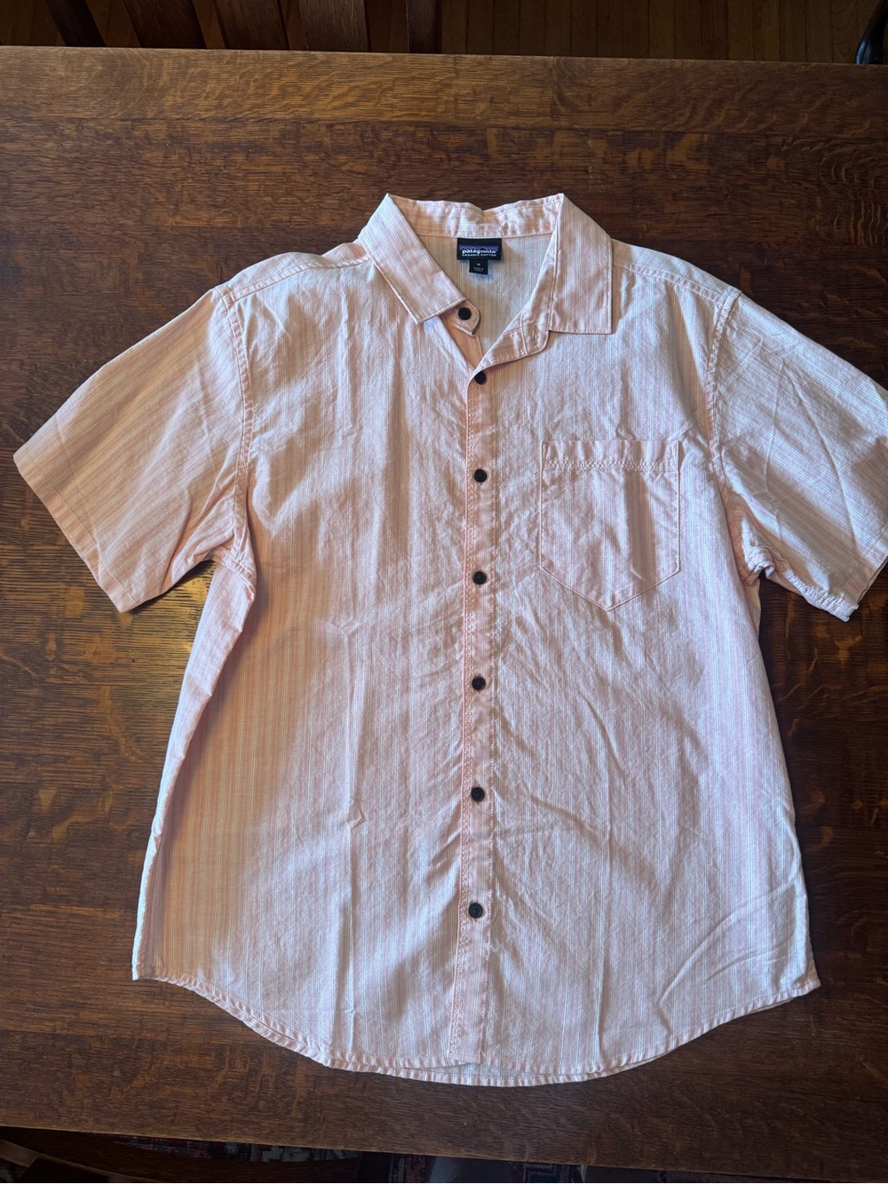 Patagonia Men’s Short Sleeve Pink Stripe Button-Up Shirt